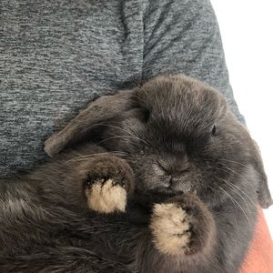 Meet your Posher, Emme